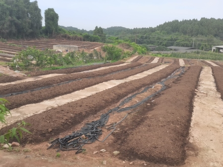 383682a9-c0a5-4daa-b40e-d69d3d96830a