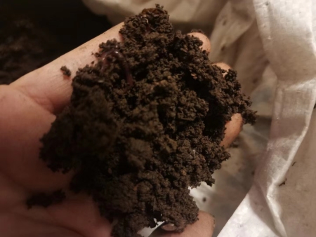 蚯蚓粪有机肥