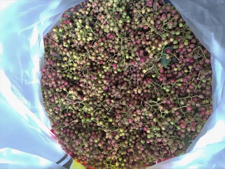 花椒药材加工厂