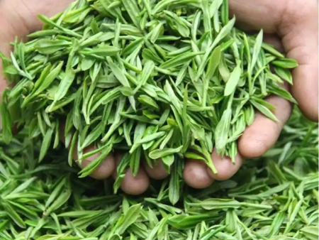 绿茶