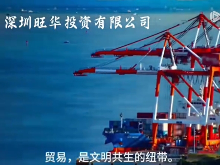 深圳旺华投资有限公司宣传片