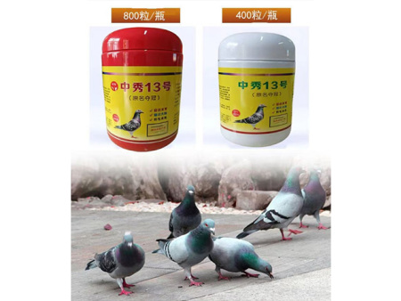 信鸽饲料选择与考虑因素