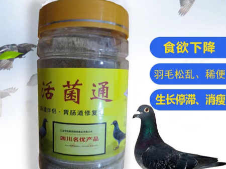 信鸽的消化饲料有哪些