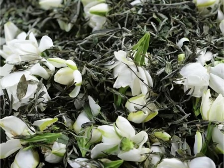 栀子花成今夏奶茶圈新贵 医生建议这几类人需合理饮用