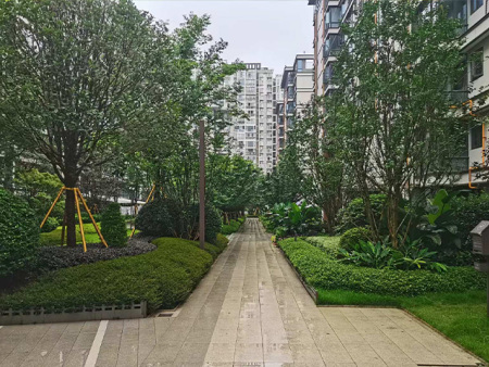 小区景观园林绿化
