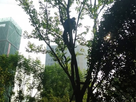 93bd5c63-4eb8-4bf4-a263-ca554db9c091