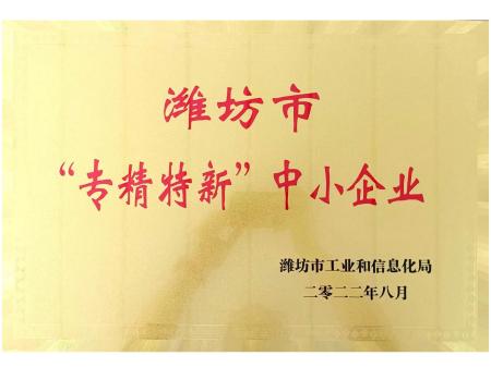 市专精特新