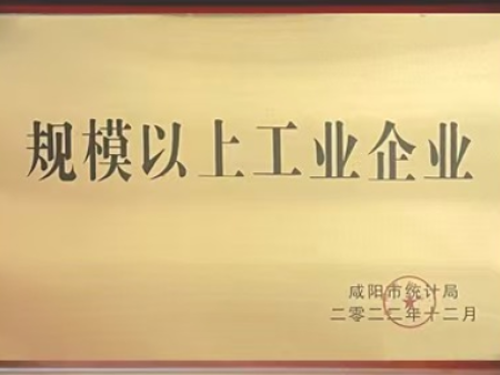 规模以上工业企业