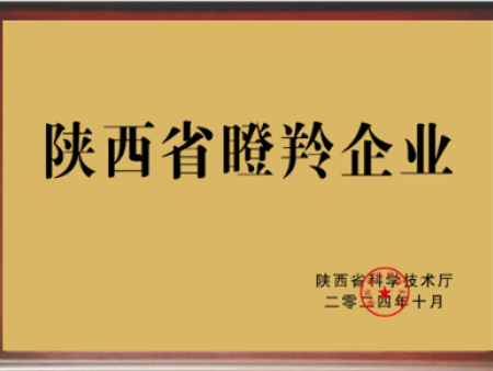 陕西省瞪羚企业