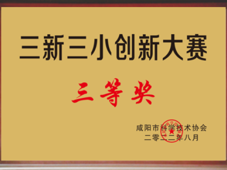 三新三小创新大赛