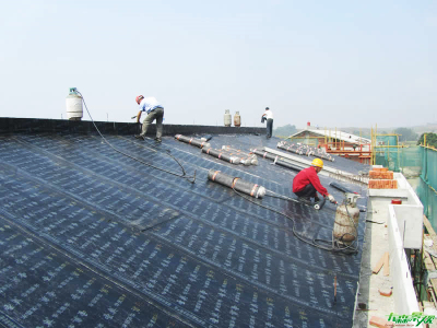 成都防水补漏.网址|成都防水补漏|本地防水补漏|瓷砖空鼓-四川许氏金刚防水工程有限公司