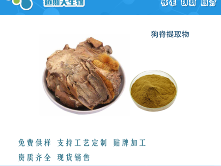 狗脊提取物