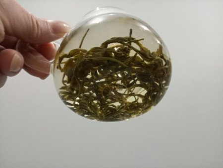 预包装绿毛峰 100g 零售价35元1包