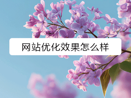 网站优化效果怎么样？