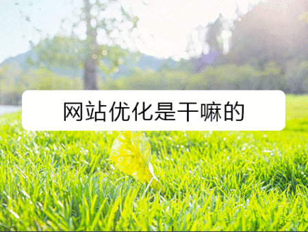网站优化是干嘛的？