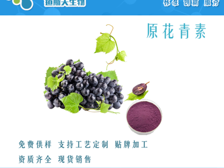 道斯夫 现货 葡萄籽原花青素 4852-22-6 抗氧化 