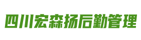 四川宏森扬后勤管理服务有限公司