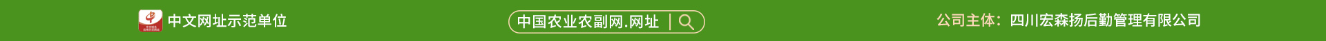 域名