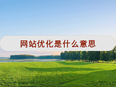 网站优化是什么意思？