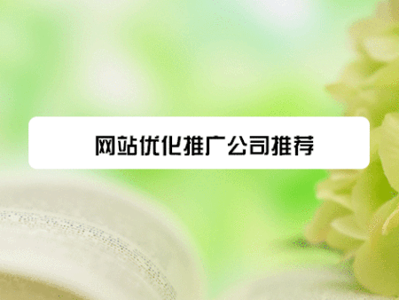 网站优化推广公司推荐