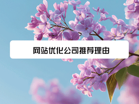 网站优化公司推荐理由