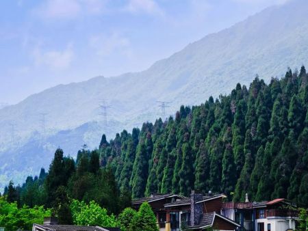 37d12f2eb9389b504fc2469b5d6df2dde71191efc0fb(1)