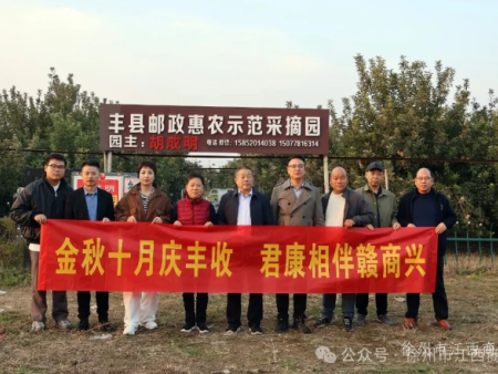 徐州市江西商会赴丰县参加联合采摘活动 共话情谊促交流