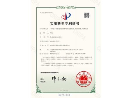 种基于氢能利用的多种气体混掺处理、热值调整、检测装置
