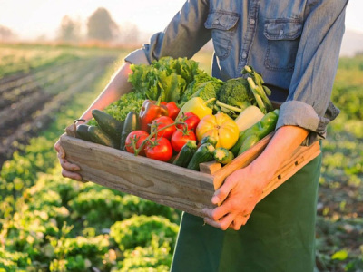 中国绿色生态农业|生态农产品供应|中国绿色生态农业.网址|绿色生态农产品-眉山市天天添蔬菜家庭农场