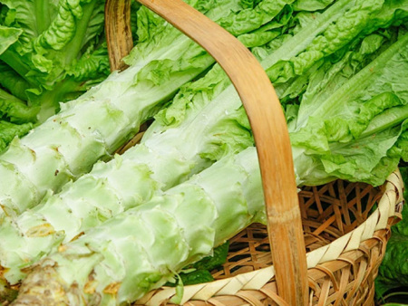莴笋
