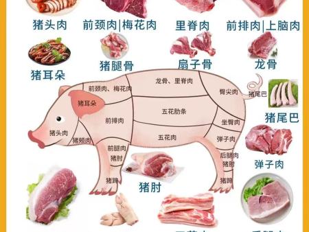 猪副