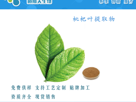 枇杷叶提取物 水溶枇杷叶粉 多规格定制 易溶解