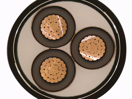 5a53c4b5-50b7-480c-894e-c8af46b0b48b