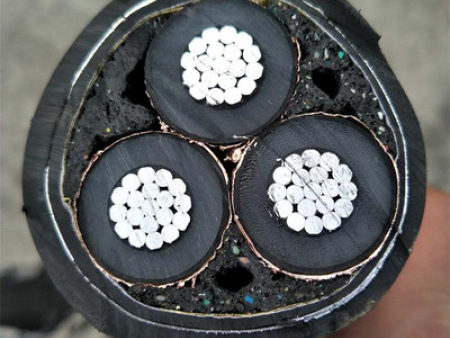 78f285a5-1f1e-4fd1-a0d8-bcaff83fb585