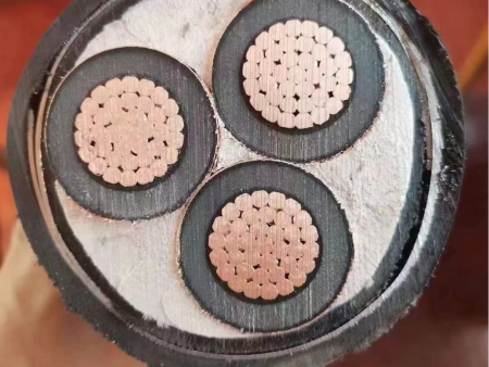 95afc32f-457e-4ea7-9d82-dea66a560a22