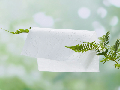 中国卫生纸.网址|四川纸巾加工制造|卫生用纸制造销售|抽纸卷纸卫生纸-四川省射洪市长鑫纸业有限公司