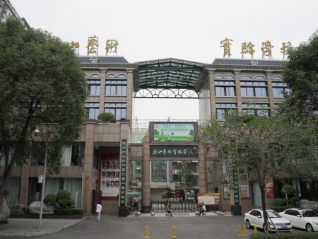 乐山艺术实验学校