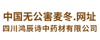 四川鸿辰诗中药材有限公司