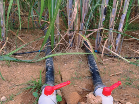 广西甘蔗双高项目滴灌工程设计安装单位（南宁广顺智能灌溉公司）