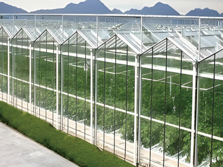 Rainproof measures for construction of glass greenhouse engineering