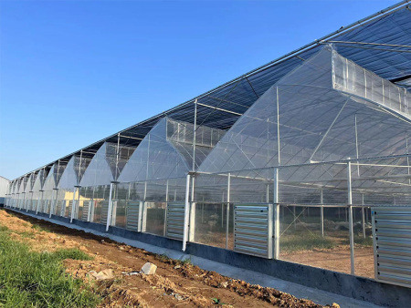 Multi-Span Sawtooth Greenhouse