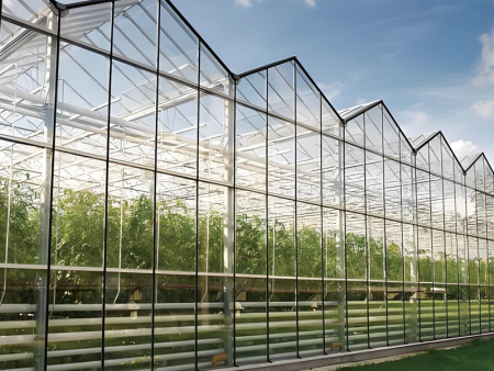Glass Greenhouse