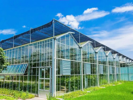 Glass Greenhouse