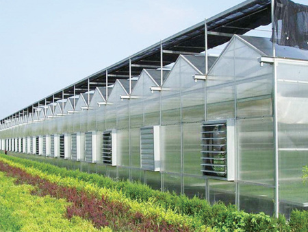 Multi-Span Film Greenhouse