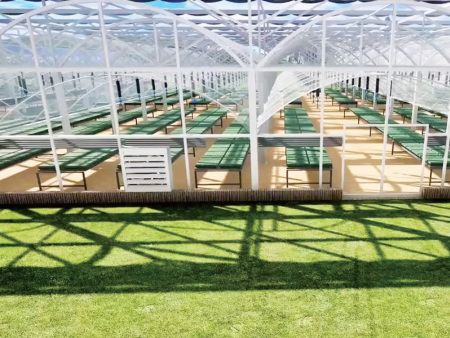Multi-Span Film Greenhouse
