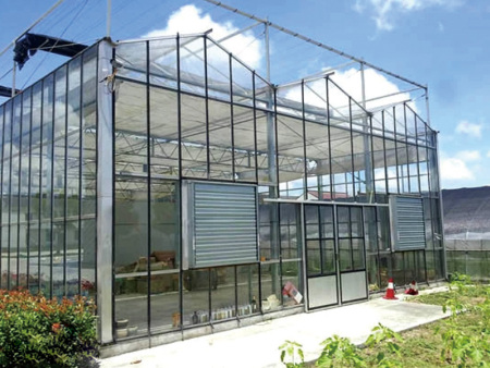 Glass Greenhouse