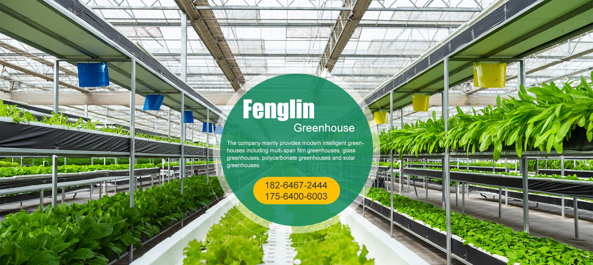 Shouguang Fenglin Agricultural Technology Development Co., Ltd.