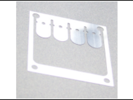 莱宝原装 Plate Valve 阀片（零件号 PL40164114）