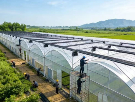 How to maintain the film of vegetable greenhouse with thin film
