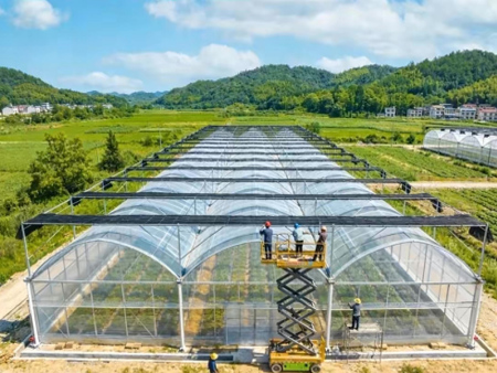 Multi-Span Film Greenhouse